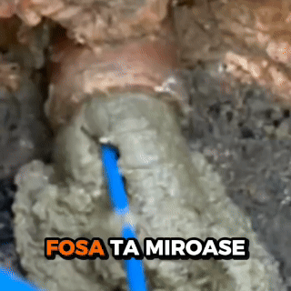 Microbec – Tratament Profesional pentru Fose Septice